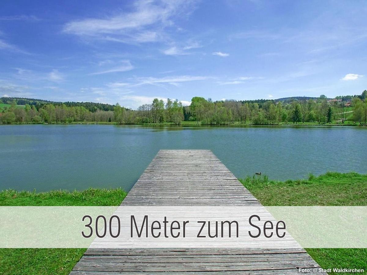 Huette41: Ganze Huette Nah Am See Mit Privatem Whirlpool, Sauna. Umzaeunt. Waldkirchen Ngoại thất bức ảnh